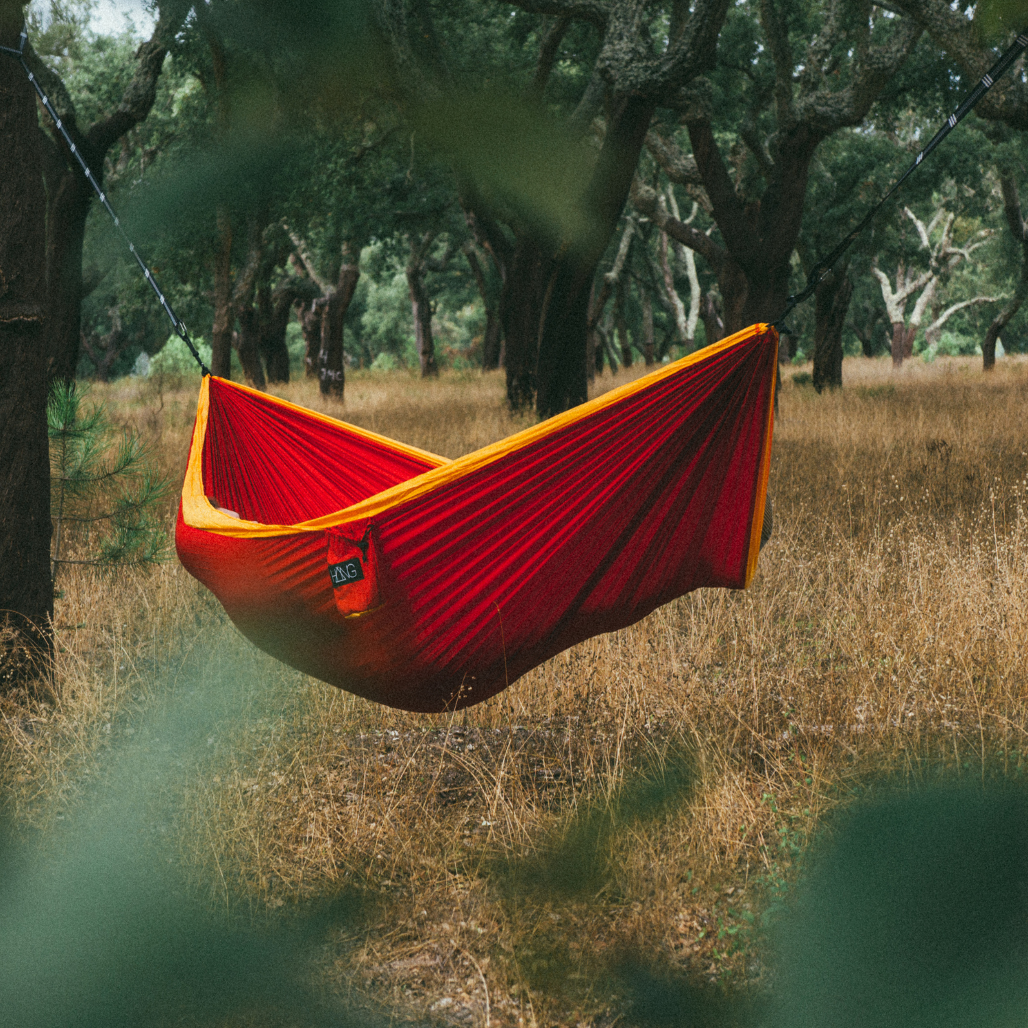 Hammocks